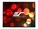 Elite Screens DIY160H1 Image 1 from Front