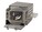 BTI SP-LAMP-083-BTI Image 1 from Right-angle