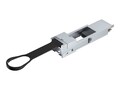 Axiom AXIOM QSFP28 TO SFP28 ADAPTER, 10506-AX                      , 42040560, Network Adapters & NICs