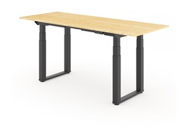 Loctek E7QBR7230-LBZB Main Image from Right-angle