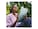 Apple MCNR4LL/A Image 4 from Back Apple MCNR4LL/A Image 4 from Back