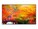 Sharp Imaging and Information Company of America MA491-PC5 Image 1 from Front