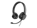 CODi Noise Cancelling USB-A Headset, A04508, 41517363, Headsets (w/ microphone)