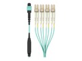 Belkin MTP to LC 50 125 OM3 Fiber Optic Cable, 2m, F2CF005-2M, 16899903, Cables