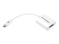 IOGEAR USB Type C (USB-C) to DisplayPort M F Adapter, White, GUC3CDP, 31911974, Adapters & Port Converters