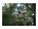 Dji Innovations CP.MA.00000613.01 Image 9 from Front