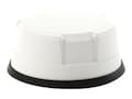 Panorama Antennas Panorama 5G 4-1 CRADLEPOINT WHT LP Dome White 4 in , LP-IN2443-W, 38121035, Wireless Antennas & Extenders Panorama Antennas Panorama 5G 4-1 CRADLEPOINT WHT LP Dome White 4 in , LP-IN2443-W, 38121035, Wireless Antennas & Extenders