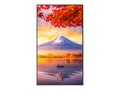 Sharp NEC  55 MA551 4K Ultra HD LED-LCD PCAP Touchscreen Display , MA551-PT, 41335869, Monitors - Large Format - Touchscreen