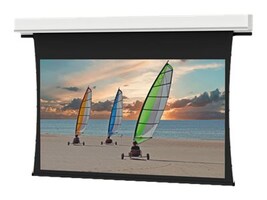 Da-Lite Screen Company 29881 Main Image from Right-angle
