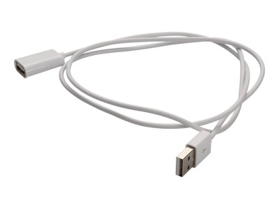 AddOn USB 2.0 Type A Male to USB 2.0 Type B Male Cable, White, 1m, USBEXTAB1MMFW, 41059582, Cables AddOn USB 2.0 Type A Male to USB 2.0 Type B Male Cable, White, 1m, USBEXTAB1MMFW, 41059582, Cables