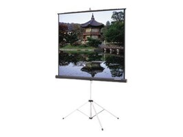 Da-Lite Screen Company 93880 Main Image from 