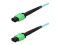 AddOn MPO APC to MPO APC OM4 LSZH 12-Strand Fiber Patch Cable, Aqua, 30m, ADD-AMPOAMPO-30M5OM4LZ , 42142739, Cables AddOn MPO APC to MPO APC OM4 LSZH 12-Strand Fiber Patch Cable, Aqua, 30m, ADD-AMPOAMPO-30M5OM4LZ , 42142739, Cables