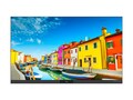 Optoma 135 COB dvLED, FHDC135                       , 42025180, Monitors - Video Wall