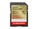 SanDisk Technologies SDSDXGN-256G-GNCIN Image 1 from Front SanDisk Technologies SDSDXGN-256G-GNCIN Image 1 from Front