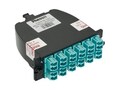 Panduit 12-fiber LC duplex to MTP OM4 Zirconia Split Sleeve Standard Loss Adapter, FC2ZN-12-10B1, 41594785, Adapters & Port Converters