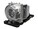 BTI NP34LP-OE Image 1 from Right-angle