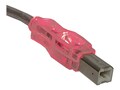 QVS 3ft USB a to USB B M M , CC2209C-03RDL, 41068104, Cables