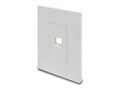 Tripp Lite Single-Gang Universal Keystone Wallplate, 1-Port, White, N080-101, 32466956, Premise Wiring Equipment
