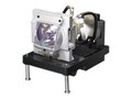 Vivitek OEM Lamp For MPN 3797818200-S, 3797818200-SVK                , 41969771, Projector Lamps