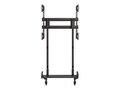 Planar Ultra Large Rolling Cart for Displays up to 300 lbs, 955-1004-00, 41788555, Stands & Mounts - Digital Signage & TVs