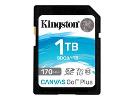 Kingston SDG3/1TB Main Image from Front