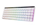 Asus ROG FALCHION RX LOW PROFILE 65, M603 FALCHION RX LP/RLBL/, 41767840, Keyboards & Keypads