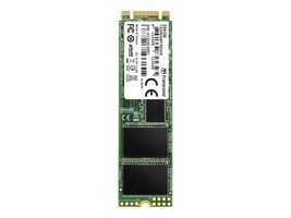 Transcend Information TS256GMTS830S Main Image from Front