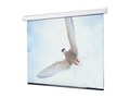 Draper Targa Projection Screen, Matt White XT1000E, 16:9, 110, 116469U                       , 42032765, Projector Screens