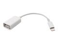 4Xem Lightning to USB Adapter, 4XLIGHTNINGUSBF, 32662236, Adapters & Port Converters