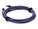 AddOn ADD7FCAT6APETAA Image 4 from Back