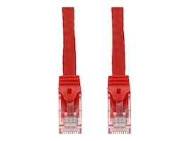 AddOn ADD-6FCAT6SN-RD Main Image from Front AddOn ADD-6FCAT6SN-RD Main Image from Front