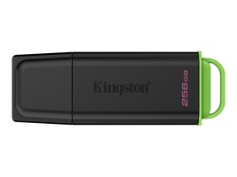 Kingston DTXG2/256GB                    Main Image from Front