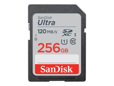 SanDisk Sandisk Ultra SDXC Memory Card , SDSDUN4-256G-AN6IN, 41178472, Memory - Flash