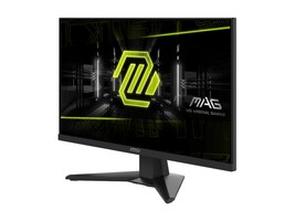 MSI Computer MAG244F                        Main Image from Right-angle