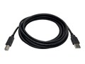 Black Box USB 2.0 Type A to USB Type B M M Cable, 1.8m, USB05-0006-R2                 , 42069056, Cables