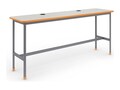 Paragon Furniture TOP FROST918 EDGE LELLOY, CHARGEBAR-722442-918YZY       , 41864182, Furniture - Miscellaneous