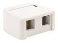 Legrand SMBKEYSTONE2PORT WHT, KSSMB2-88                     , 42020227, Premise Wiring Equipment