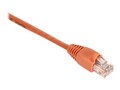 Black Box GigaTrue 550MHz Cat6 Patch Cable, Orange, 10ft, EVNSL649-0010, 9060114, Cables