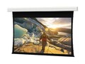 Da-Lite Tensioned Advantage (over 14’ W with Closure Door) Projection Screen, Da-Mat, 16:10, 283, 14100                         , 41971241, Projector Screens