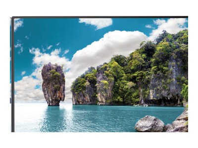 Sharp NEC  55 PN-UN553V Full HD LED-LCD Display, PN-UN553V                     , 42036913, Monitors - Large Format