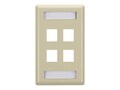 Black Box Gigastation2 Wall Plates NG Gang 4-port, Ivory, WPT472, 12675603, Premise Wiring Equipment
