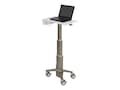 Ergotron CareFit Slim Laptop Medical Cart, C50-1100-0, 36128920, Computer Carts - Medical