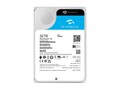 Seagate SKYHAWK AI SATA 32TB HDD INT SURVEILLANCE 32TB SATA HDD ESW ONL, ST32000VE000                  , 42136024, Hard Drives - Internal