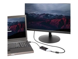 StarTech.com DP2VGDVHD Main Image from Right-angle
