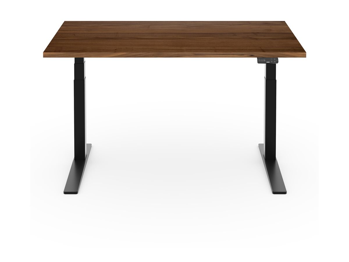 Loctek E7 Pro Standing Desk