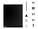 ViewSonic ID2456-C1 Image 15 from Close-up