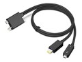 Lenovo ThinkPad Thunderbolt 4 WorkStation Dock Split Cable, 0.7m, 4X91K16970, 41526954, Cables