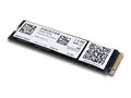 DIGISTOR 1TB Citadel C-SEL NVMe FIPS Validated SED M.2 Internal Solid State Drive, DIG-M2N2100032-C01            , 41865211, Solid State Drives - Internal