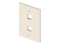 UNC 2-Port Wall Plate, Single Gang, Ivory, WP-2P-IVY, 20078593, Premise Wiring Equipment