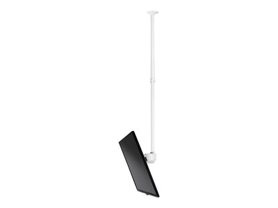 Atdec Ceiling Tilt Mount for Displays up to 143 Pounds, TH-3070-CTLW, 17803782, Stands & Mounts - Digital Signage & TVs Atdec Ceiling Tilt Mount for Displays up to 143 Pounds, TH-3070-CTLW, 17803782, Stands & Mounts - Digital Signage & TVs